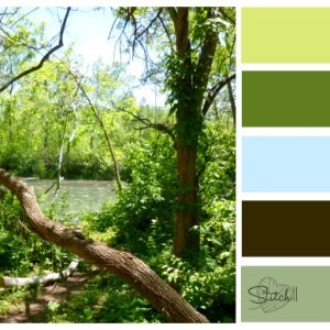 Natures Color Combo swamp