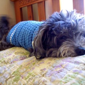 Size Small Crochet Dog Sweater - Free Pattern