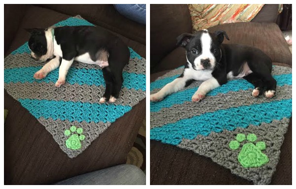 Puppy Blankets