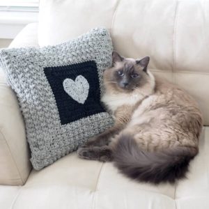 Aligned Cobble Stitch Pillow