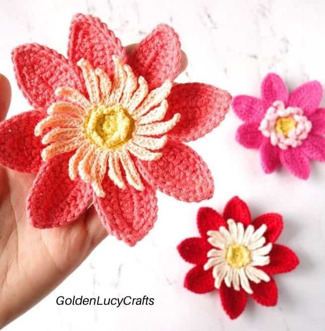 hand carrying a large Dahlia Crochet flower with more flowers in the background