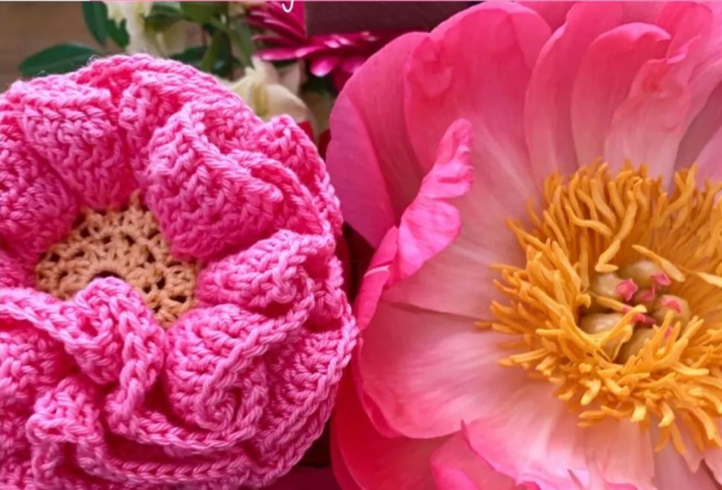 Crochet Peony flower next to a real peony