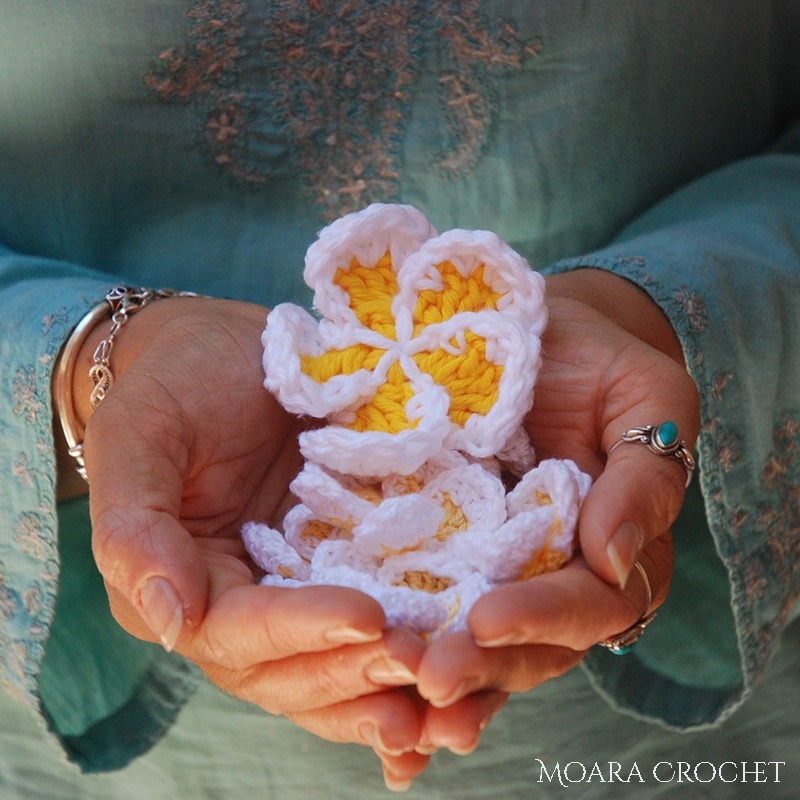 hands holding Crochet Frangipani Flowers